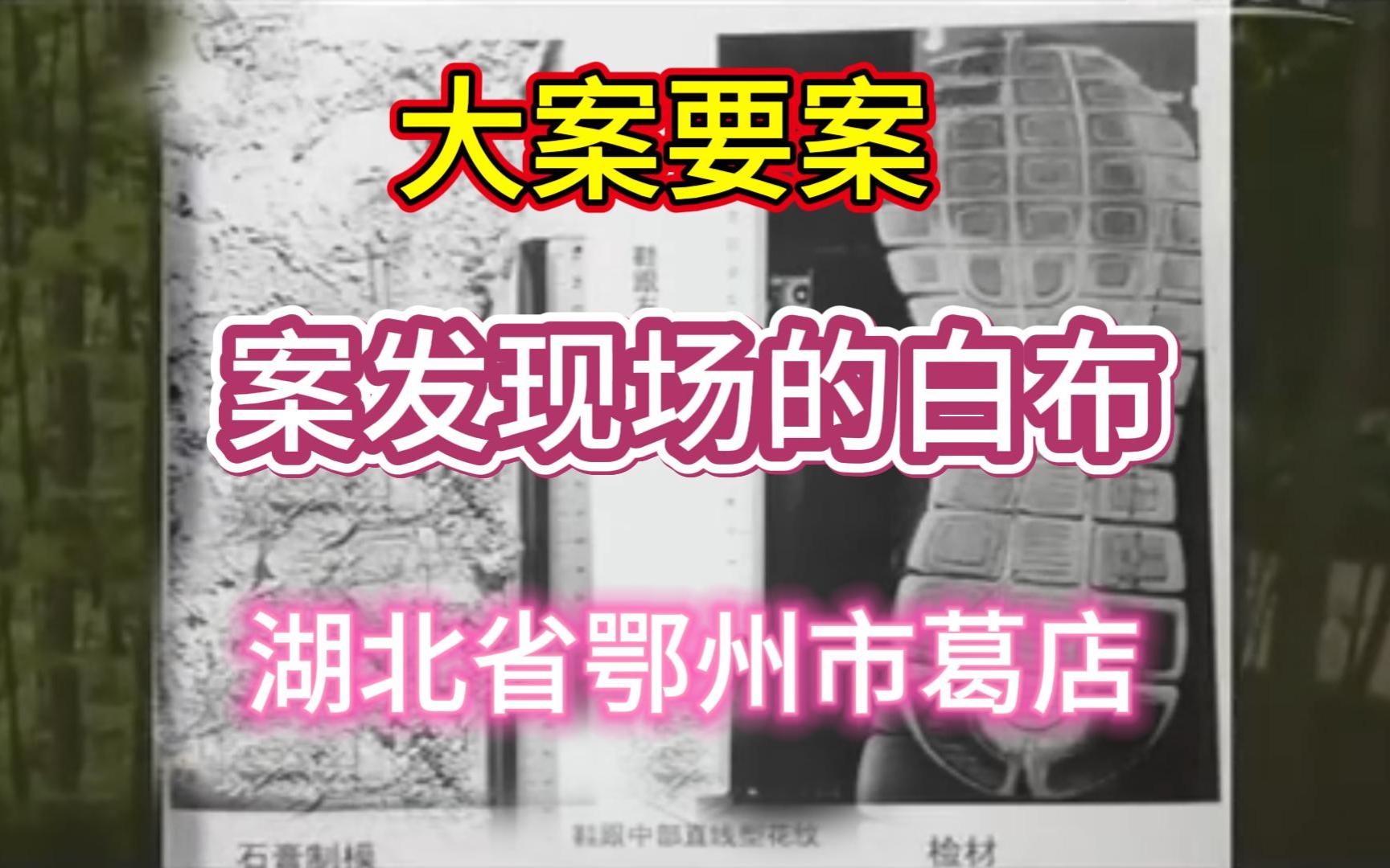 大案要案:案发现场的白布.(湖北省鄂州市葛店命案)哔哩哔哩bilibili