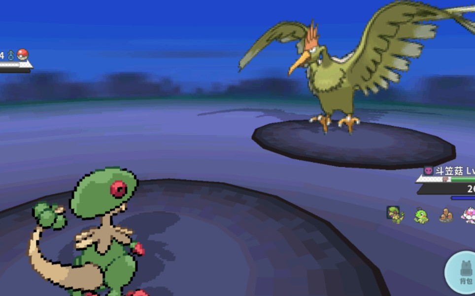 追梦沙基拉第一歪 闪光大嘴雀