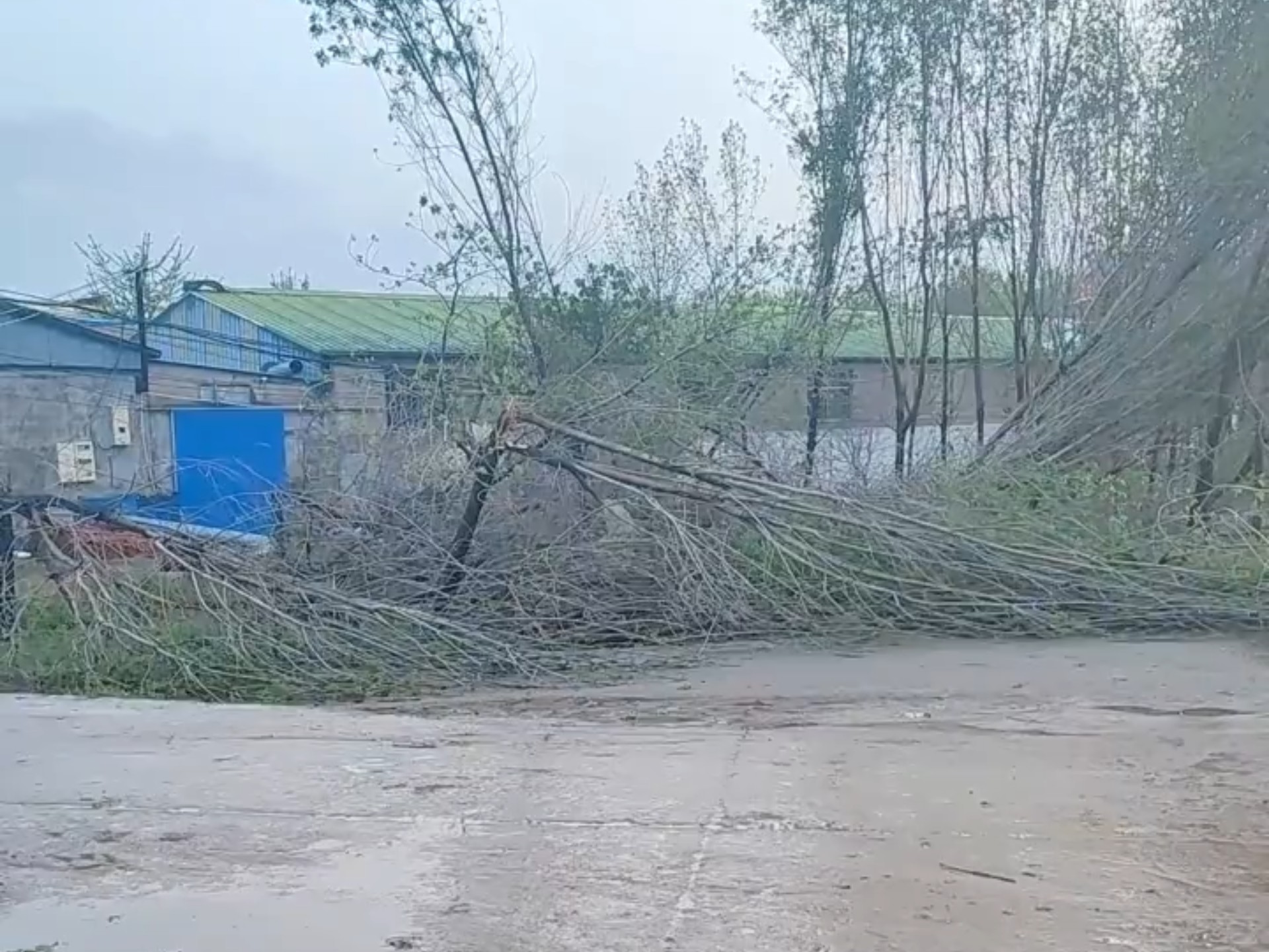 山东省临沂市郯城县天气今日情况