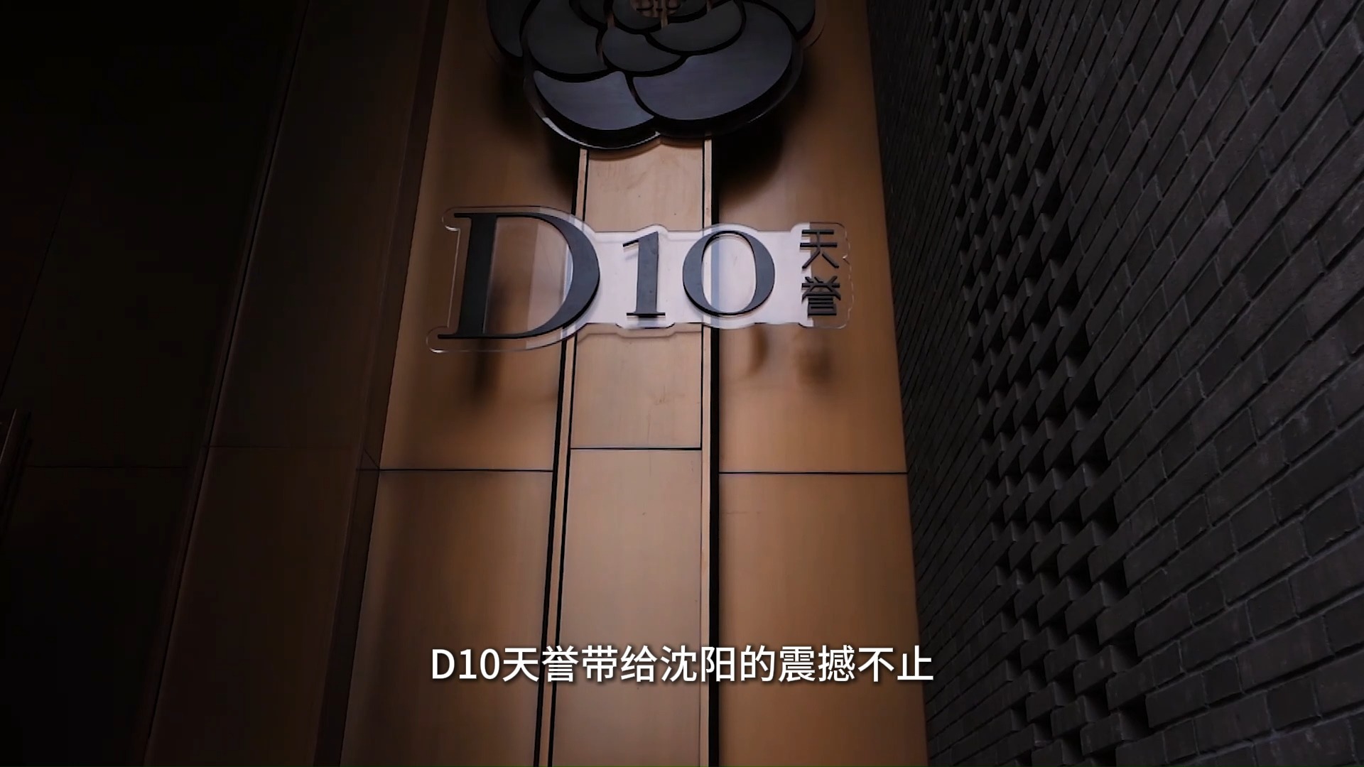 新晋沈阳豪宅“天花板”正式亮相#新希望D10天誉#栋观名盘哔哩哔哩bilibili