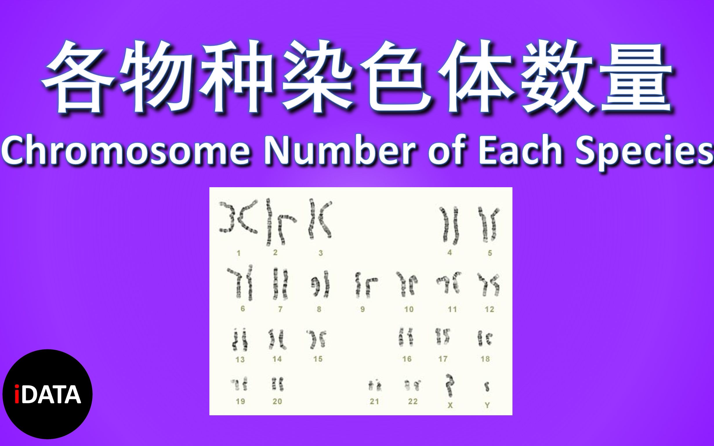 各物种染色体数量|Chromosome Number of Each Species哔哩哔哩bilibili