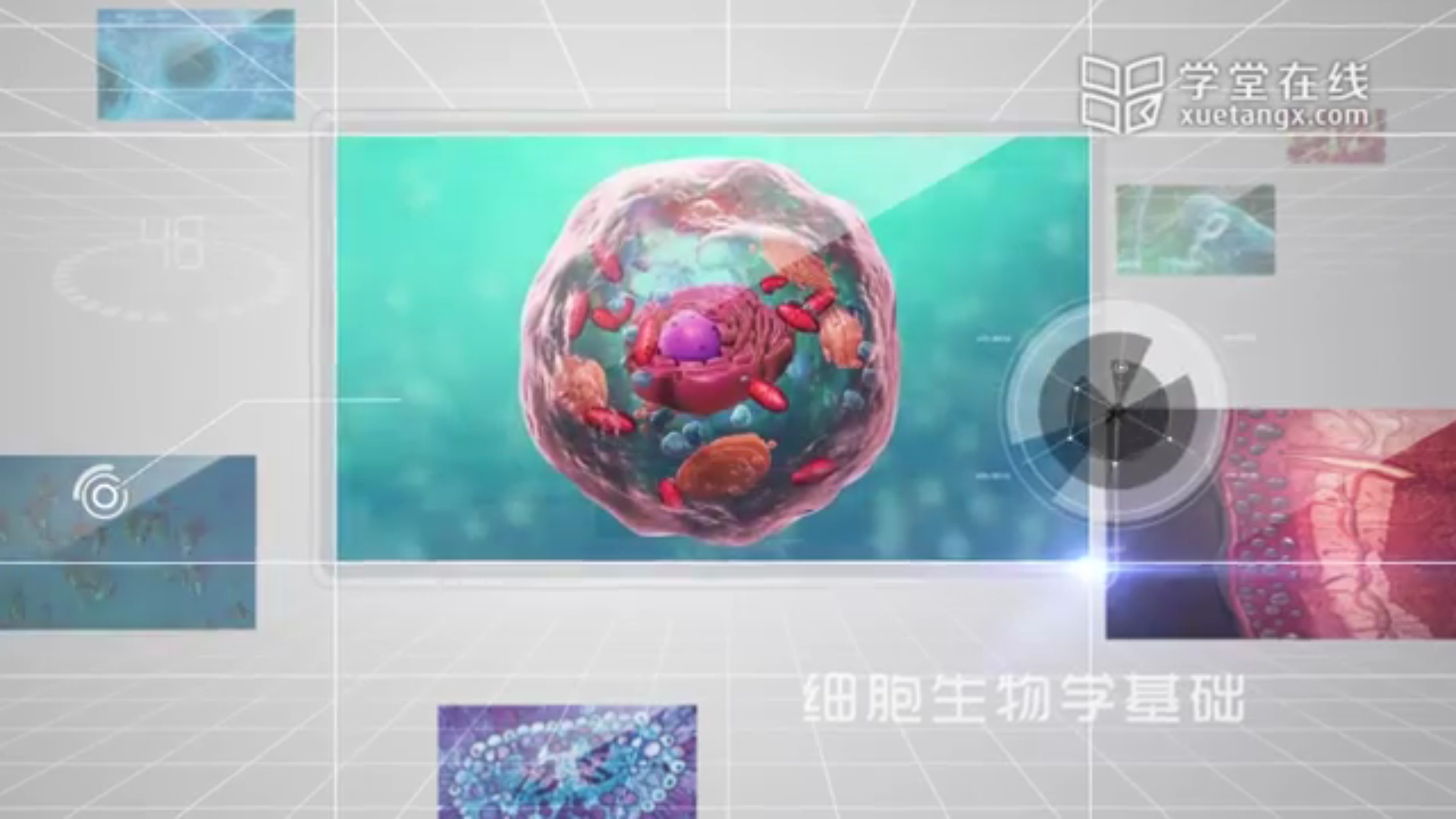 [图]【生物】细胞生物学基础（清华大学）