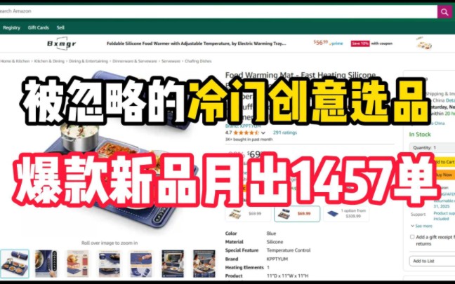 被忽略的冷门创意选品!爆款新品月出1457单!哔哩哔哩bilibili