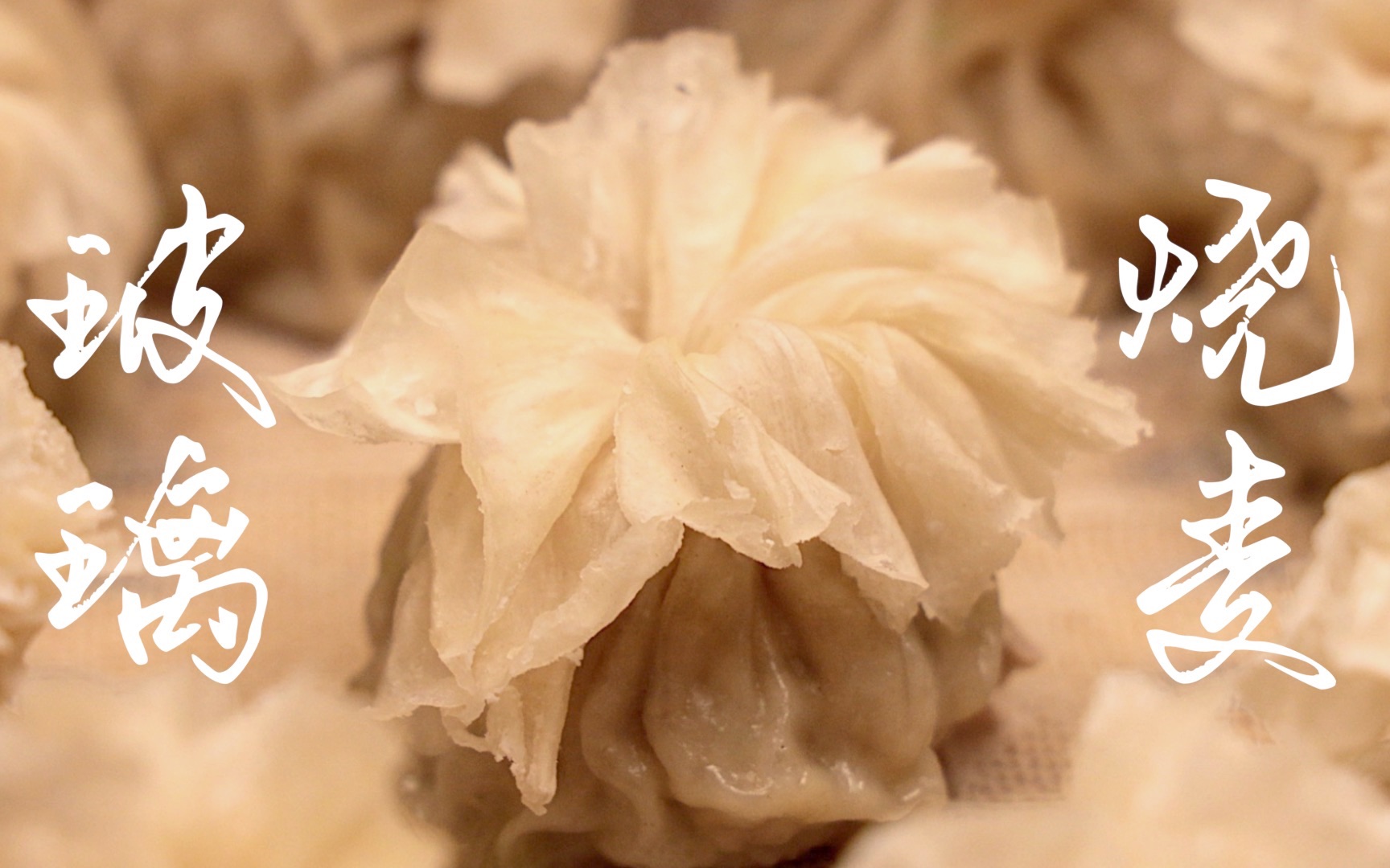 乐山玻璃烧麦,裸感十足!一眼看透!_哔哩哔哩_bilibili