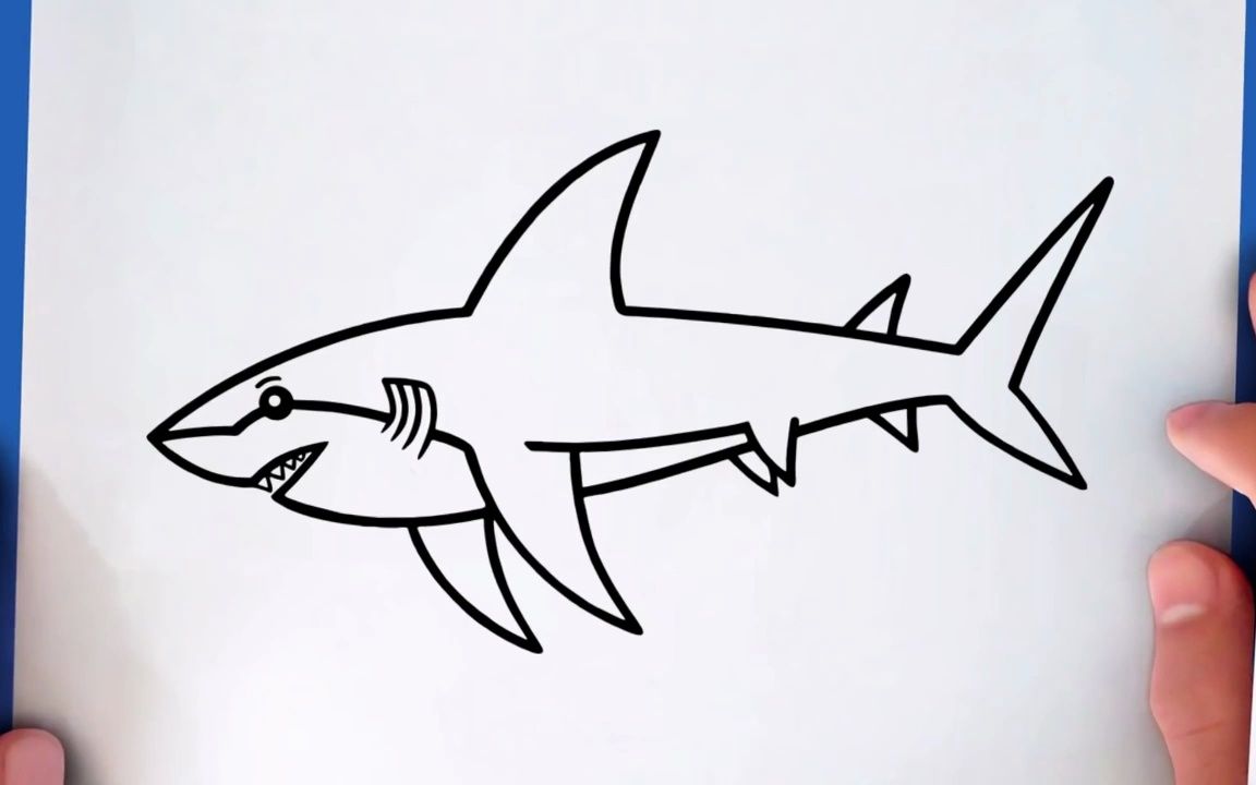 大鲨鱼简笔画简单图片