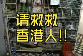 Tải video: 看不起病，住不起房，吃不起饭，经济崩溃，香港目前情况有多严峻？