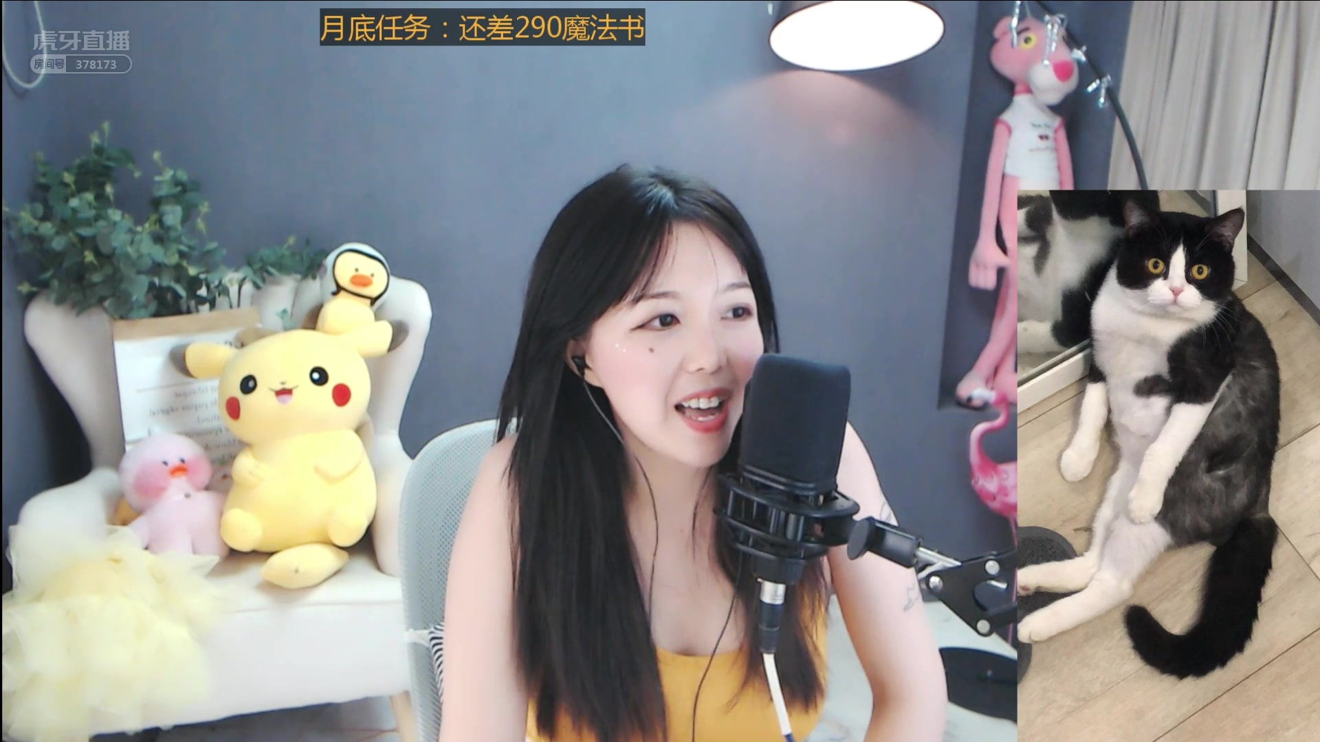 泡芙饼干直播录像2019