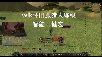 Download Video: wlk猎人一键宏