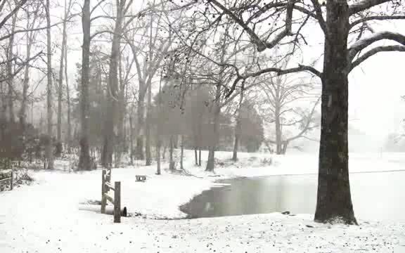 [图]失眠必备-5小时冬季深山暴风雪记录