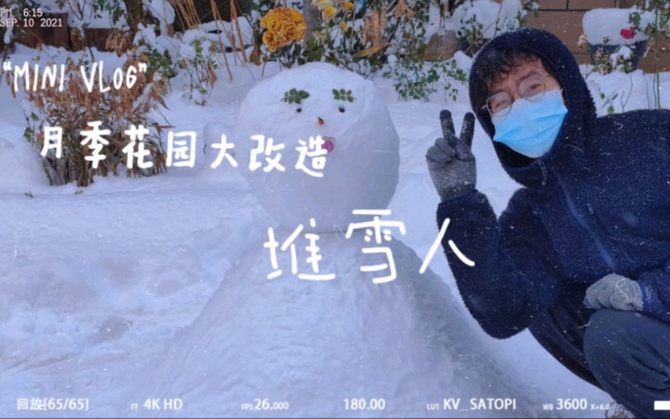 月季花园大改造之堆雪人哔哩哔哩bilibili