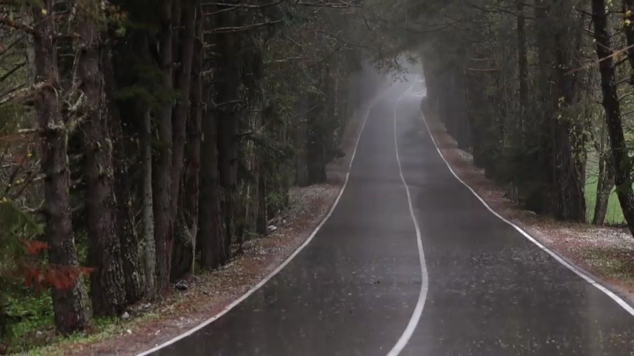 8小时 车道风景&雷雨声☔️哔哩哔哩bilibili