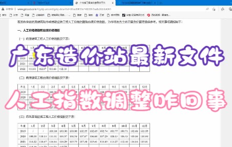 广东最新人工指数调整文件解读及使用方法哔哩哔哩bilibili