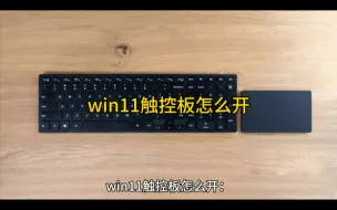 下载视频: win11触控板怎么开