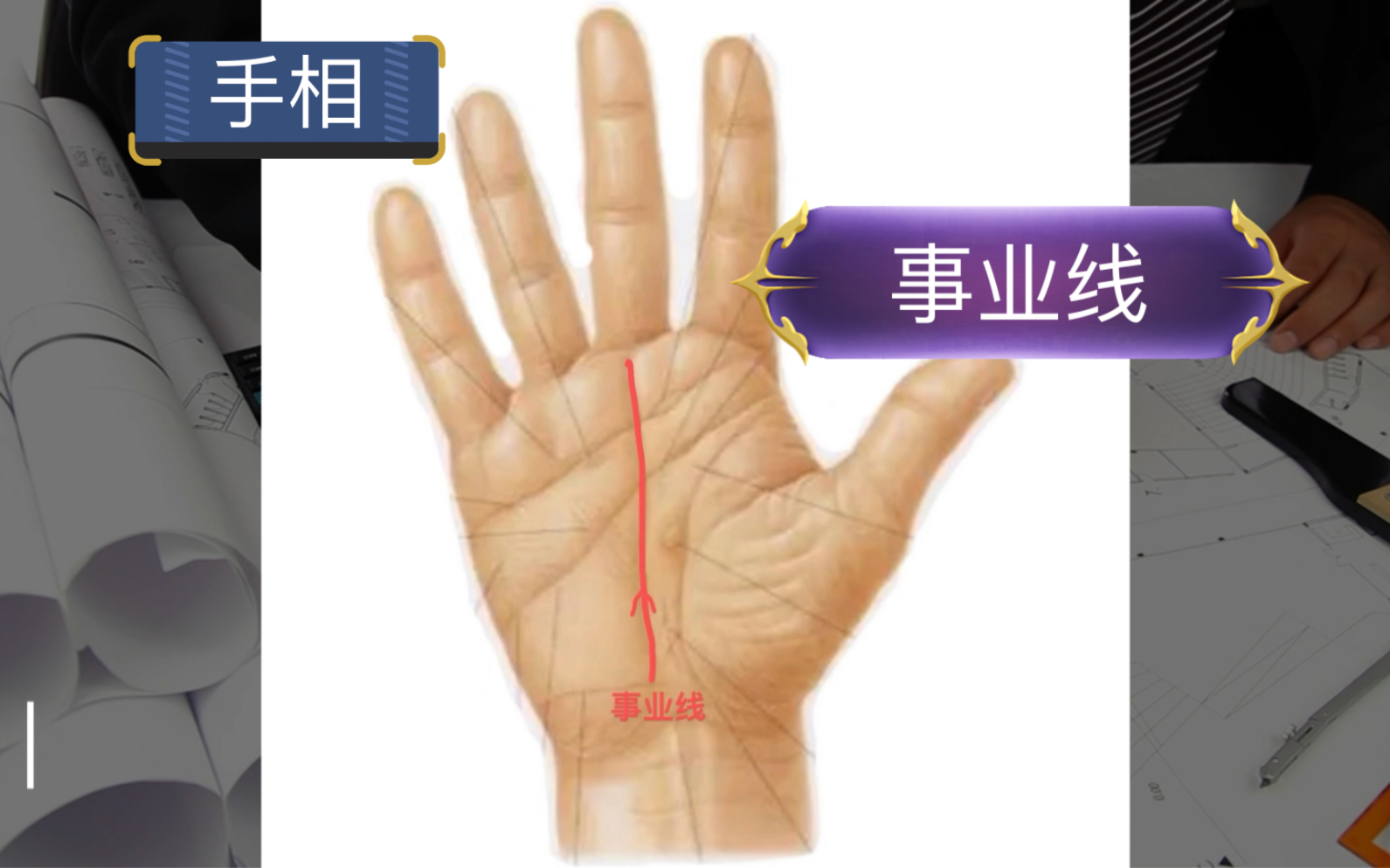 手相之事业线科普(一)哔哩哔哩bilibili