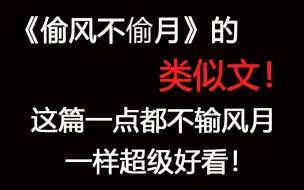 没看够《偷风不偷月》的，这篇一定不要错过！真的超级超级好看！