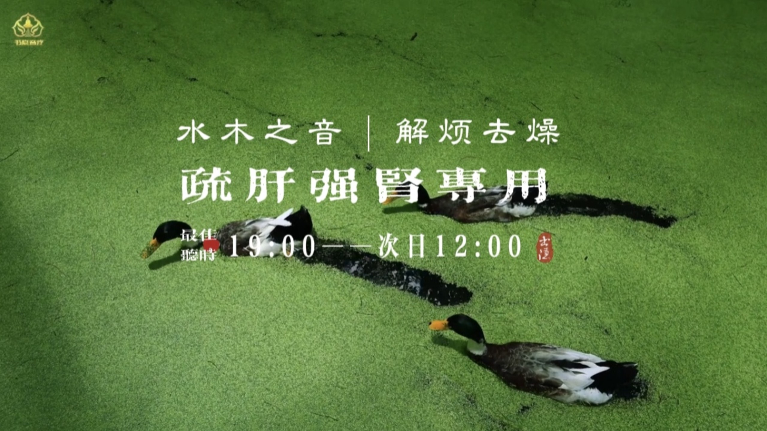 『五音疗疾』疏肝气强肾气，降火息怒，抒发情志，解闷去燥。胆小多疑，失眠多梦，肝火旺爱生气，口干睛涩，胸闷气短，脱发白发“血……压”不稳定等可多听用.