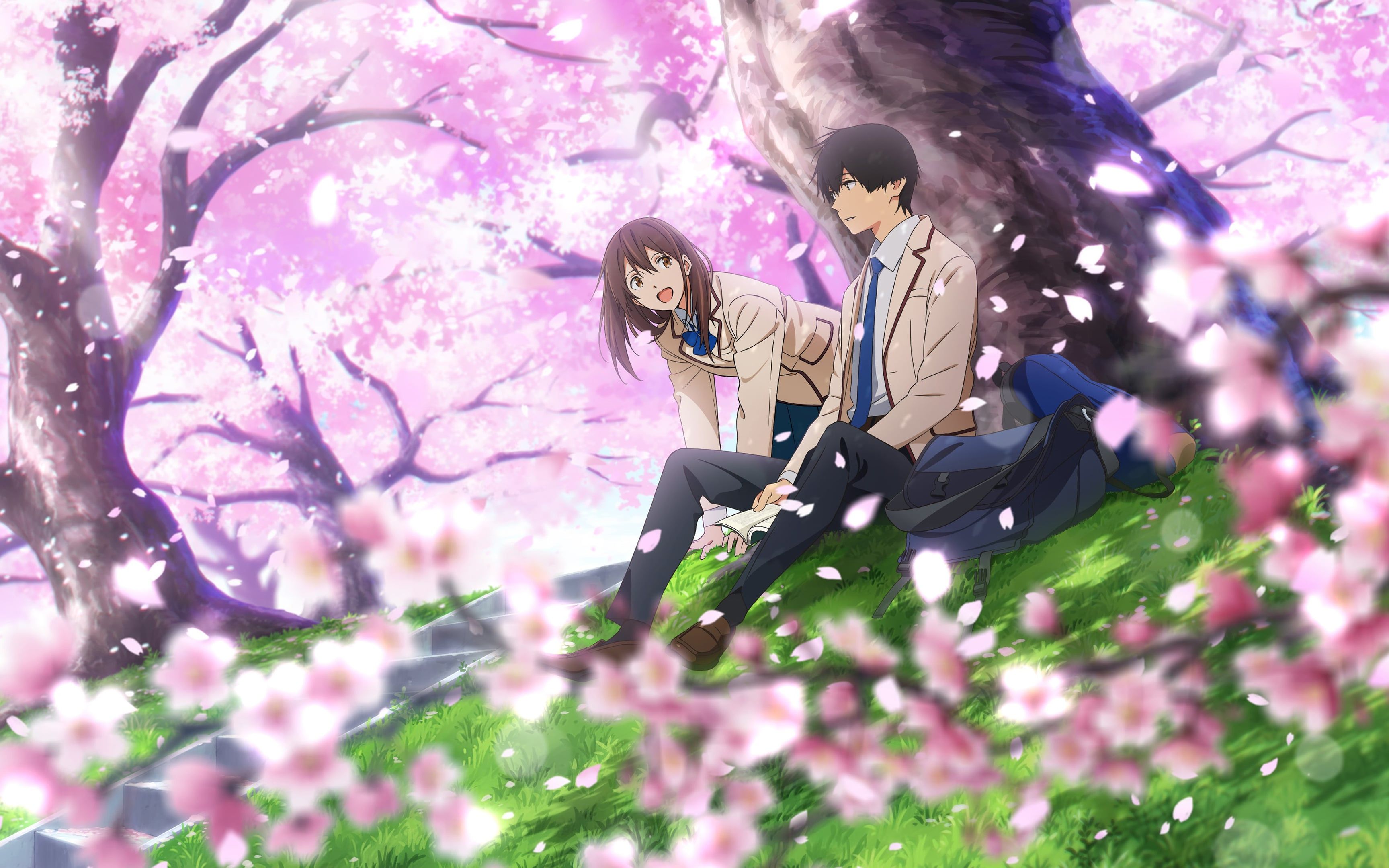 胰脏mad每一个春天樱花终将如期而至