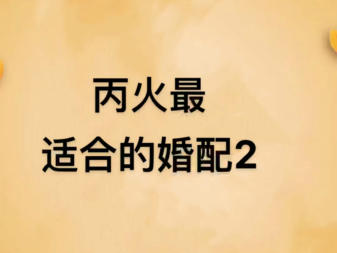 丙火最适合的婚配2哔哩哔哩bilibili