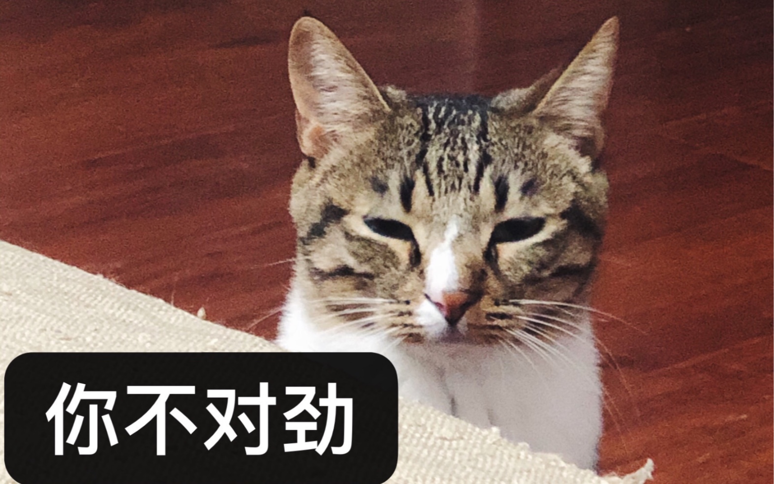 nicolesvlog03为什么画不好眼线的和在艺术展鬼扯的总是同一个人