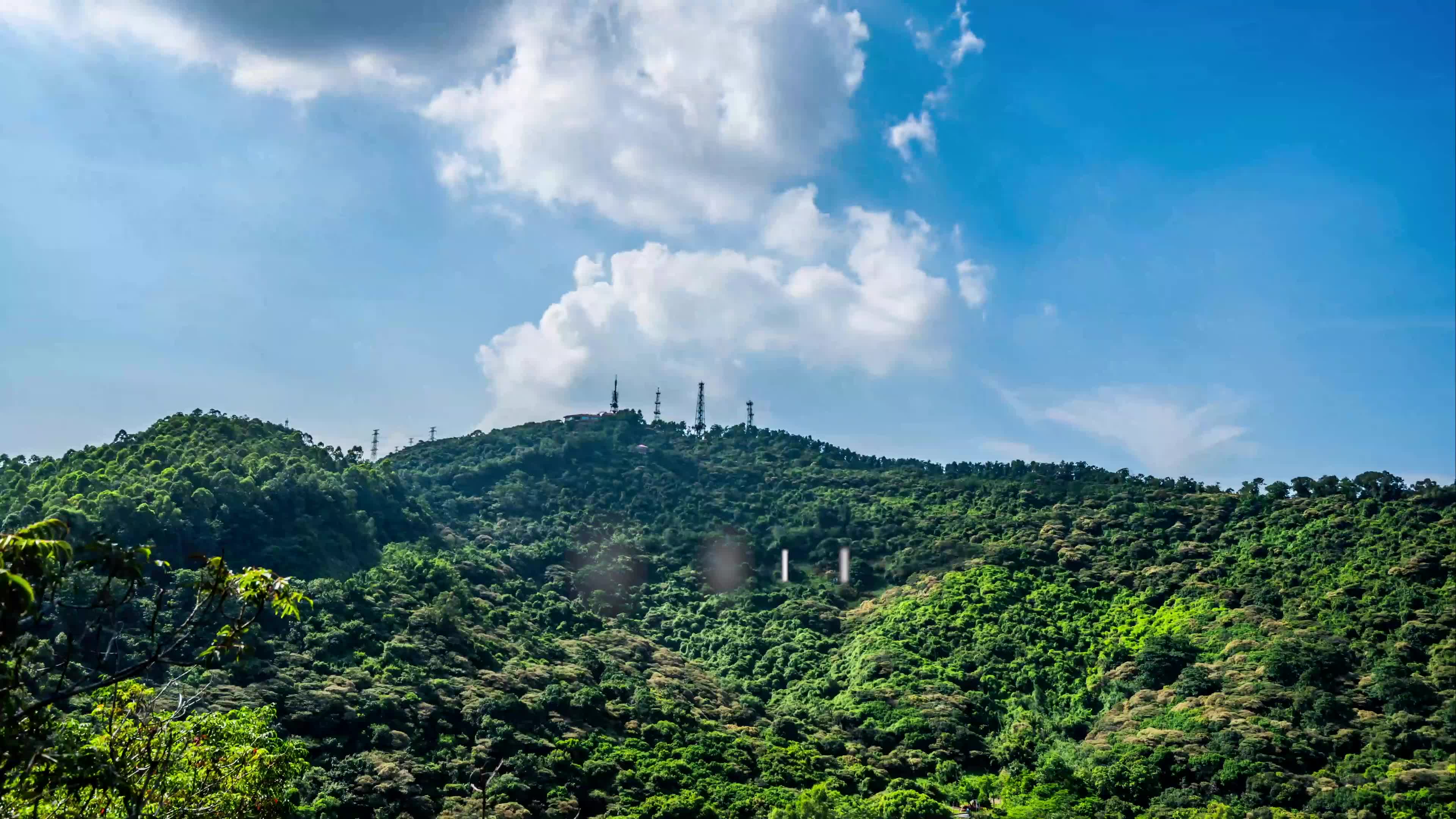 黄山鲁森林公园