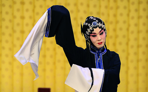 迟小秋剧目汇总特辑之红鬃烈马武家坡排名仅供参考