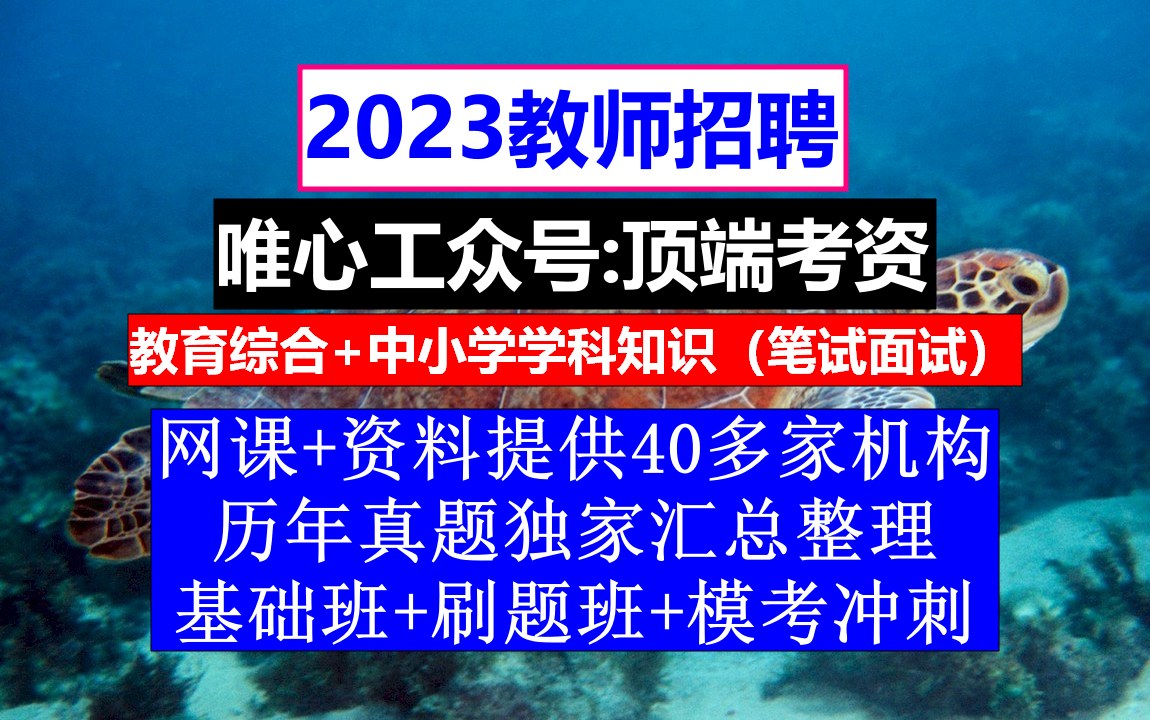 北京市教师招聘语文学科,教师招聘信息模板,教师招考时间哔哩哔哩bilibili