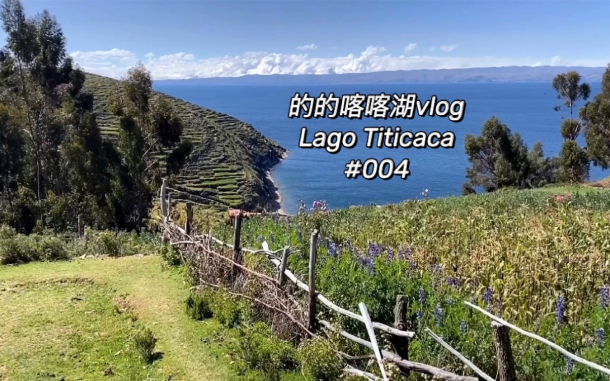 的的喀喀湖 | 印加文明 南美洲玻利维亚 #004 Lago Titicaca, Bolivia | Emilia哔哩哔哩bilibili