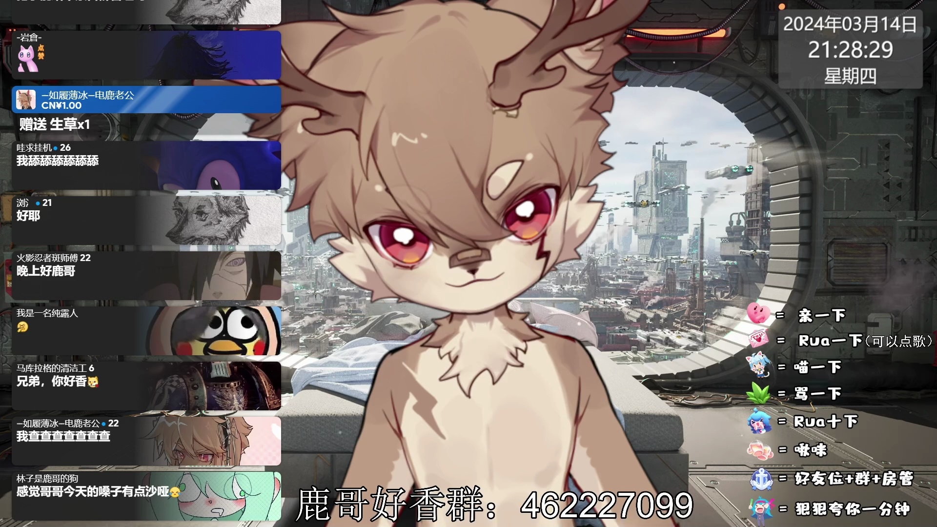 【一块电鹿板】2024.03.14-电鹿的直播