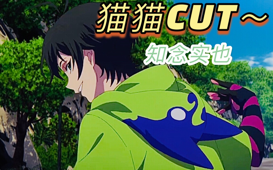 【知念实也】「猫猫」合集cut!  第一次剪辑献给猫猫小天使
