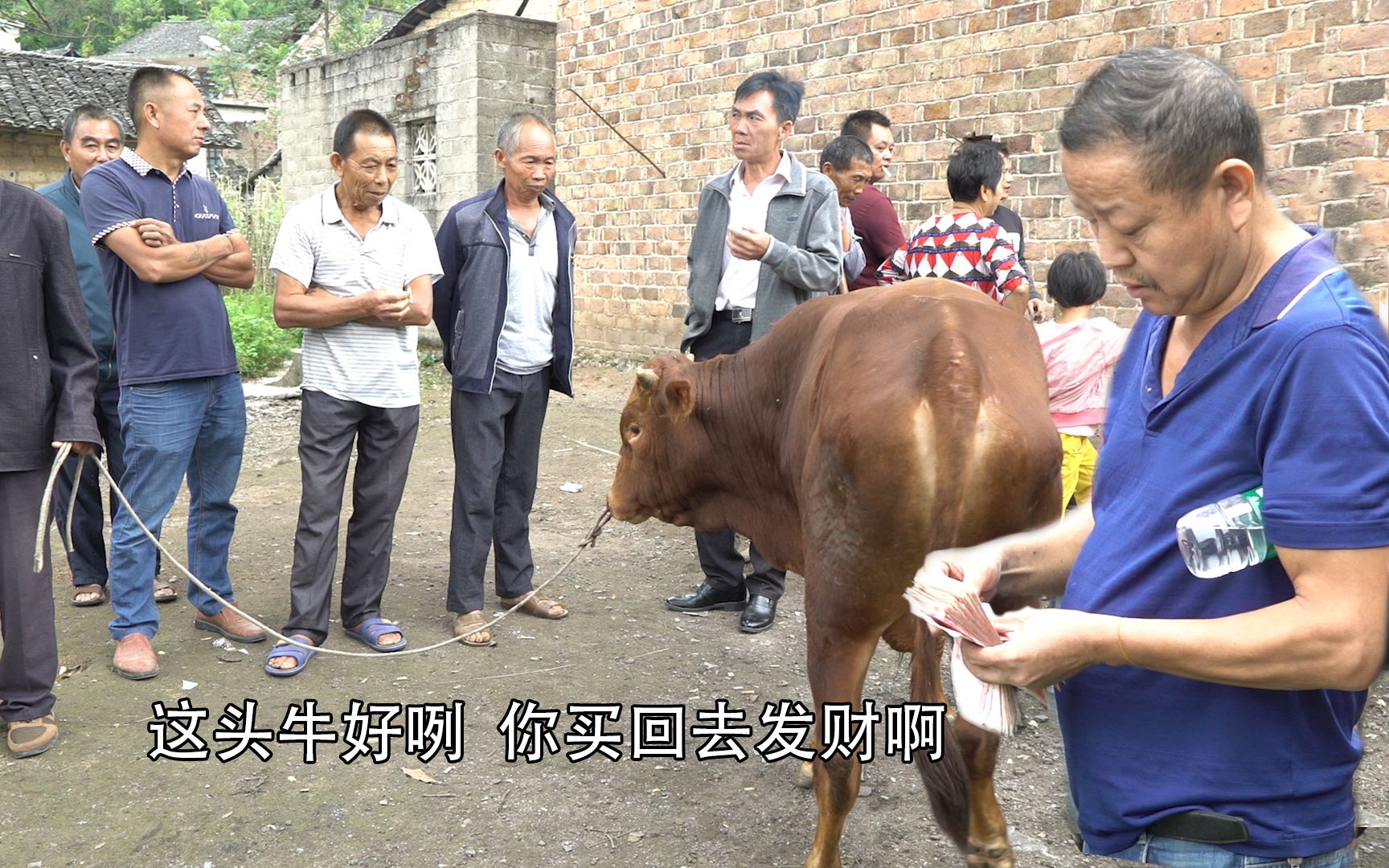 养10头牛能赚多少钱?交易市场一头卖15000元,养牛人的春天来了哔哩哔哩bilibili