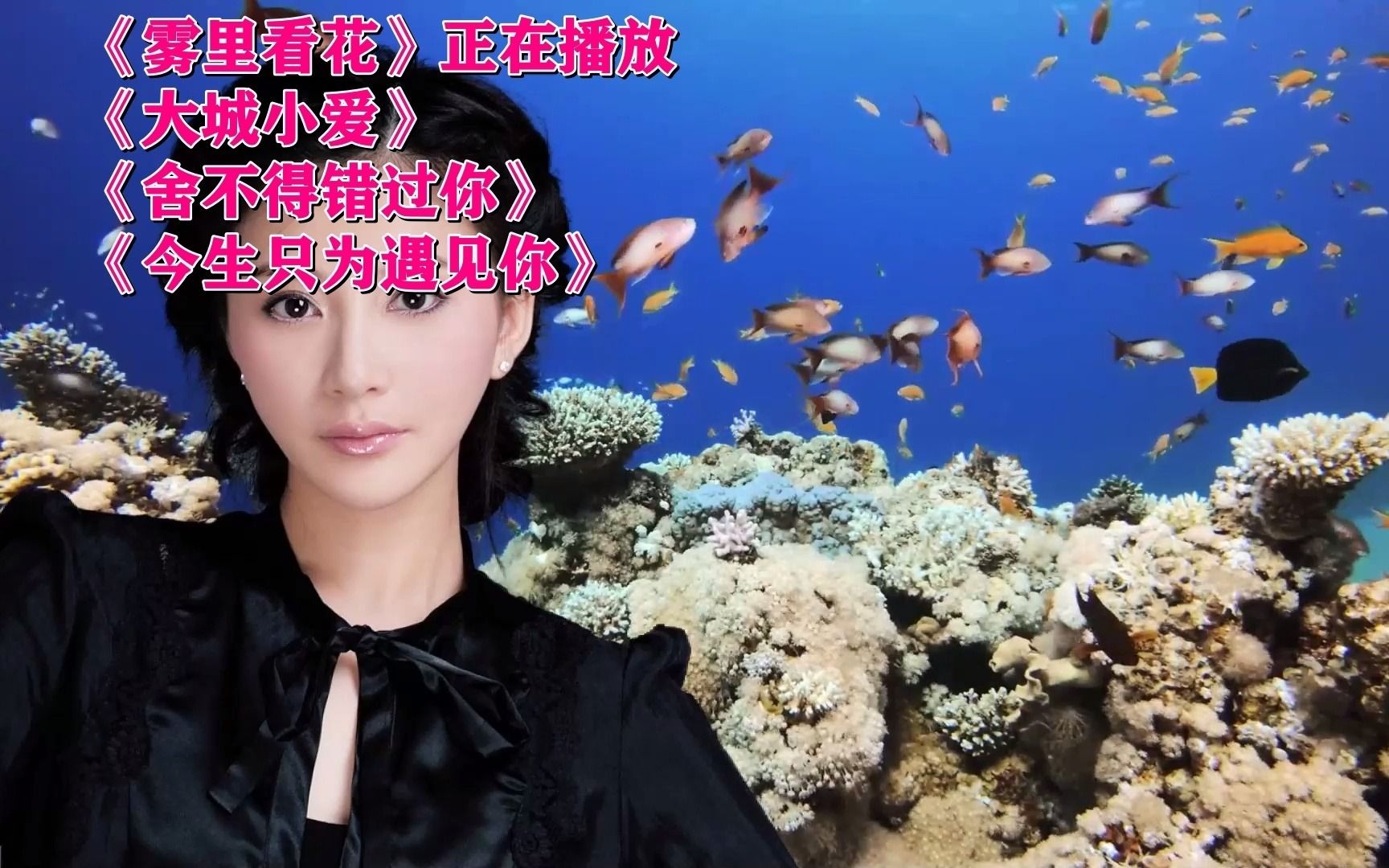 《雾里看花》《大城小爱》mv软件的制作方法(巨鹰软件)