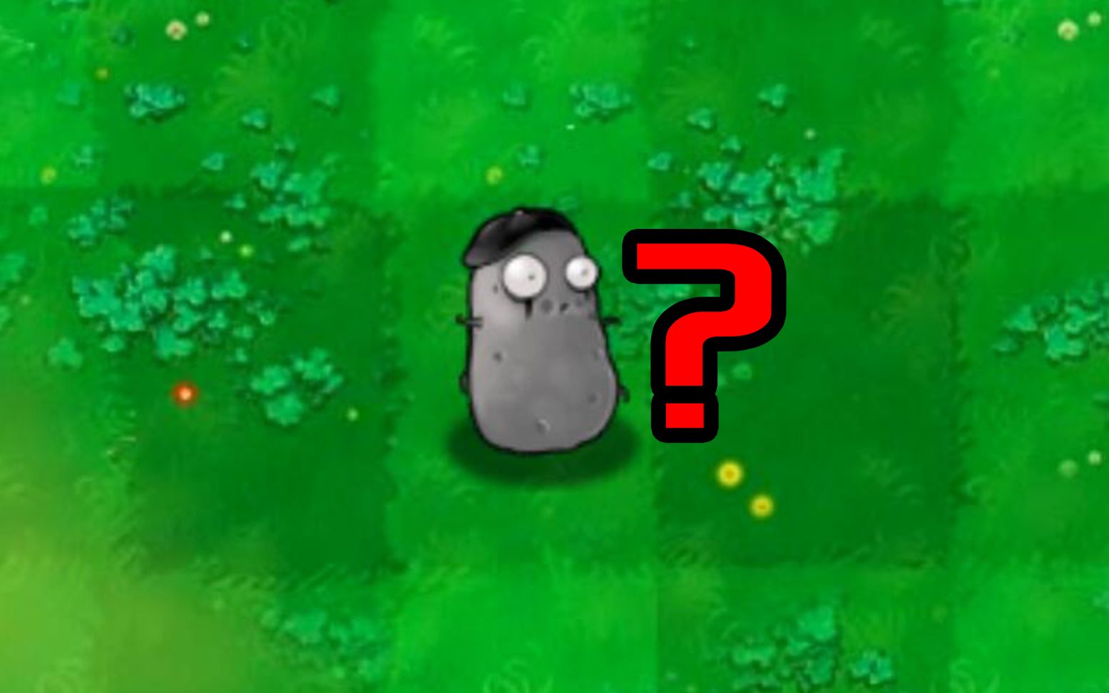 揭秘模仿者为什么可以变成其他植物