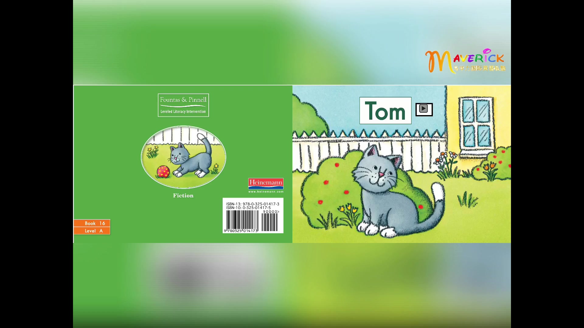 英语启蒙双语海尼曼绘本精讲16本《the park 》