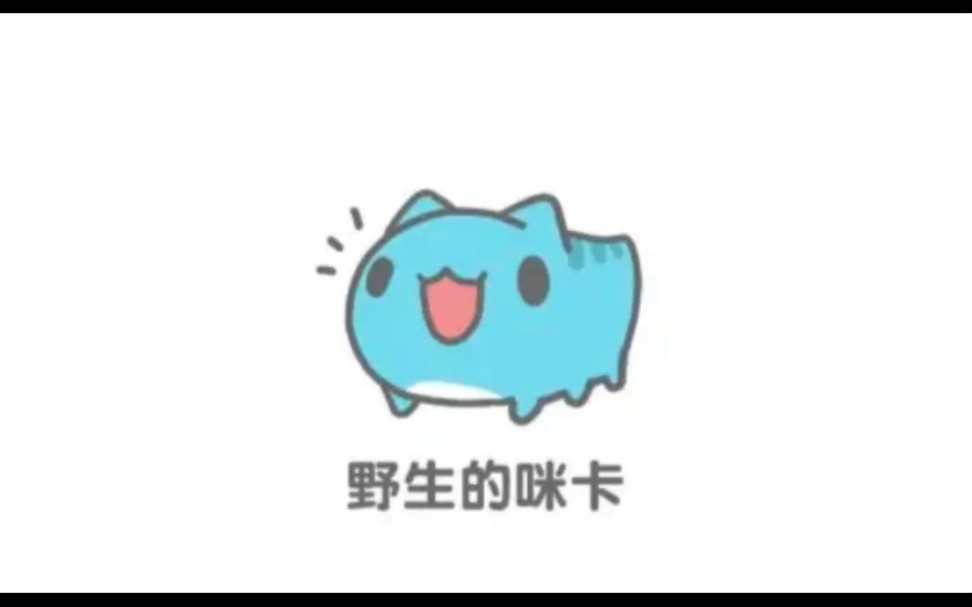 #146 野生的咪卡哔哩哔哩bilibili