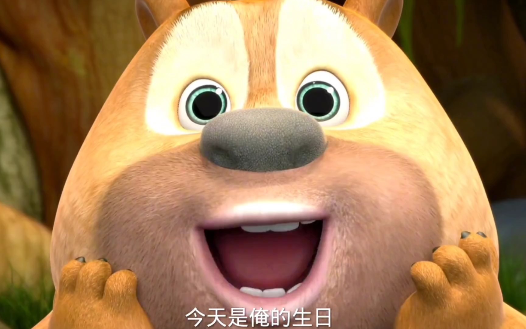 小熊二生日,你愿意陪小熊二玩吗?