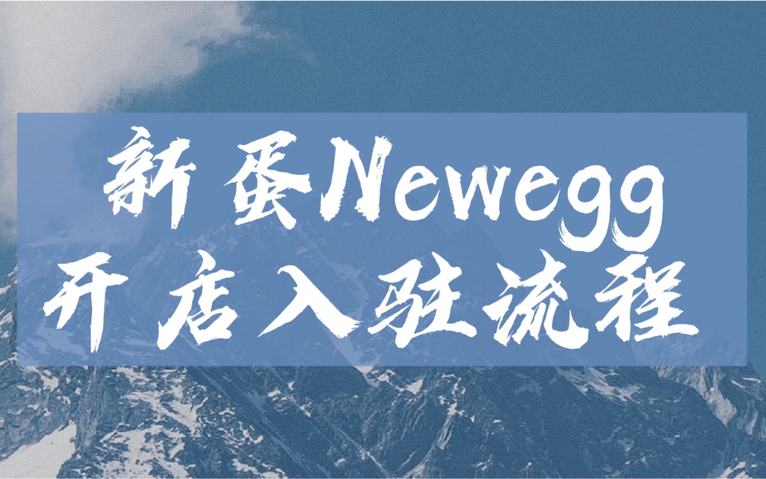 新蛋Newegg 开店入驻所有流程哔哩哔哩bilibili