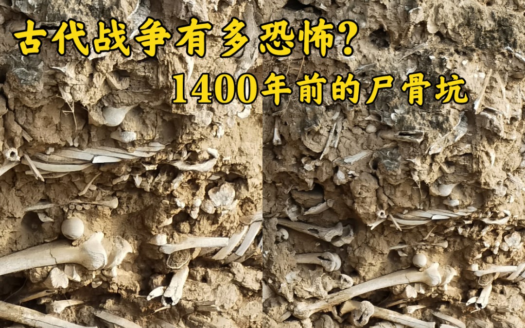 古代战争有多恐怖?1400年前的尸骨坑,白骨累累哔哩哔哩bilibili