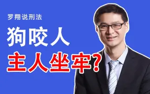 Скачать видео: 【罗翔】养的狗咬了人，主人要坐牢么？？