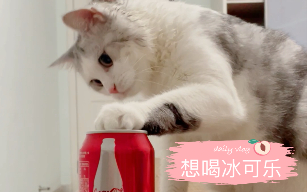 想喝冰可乐的一天