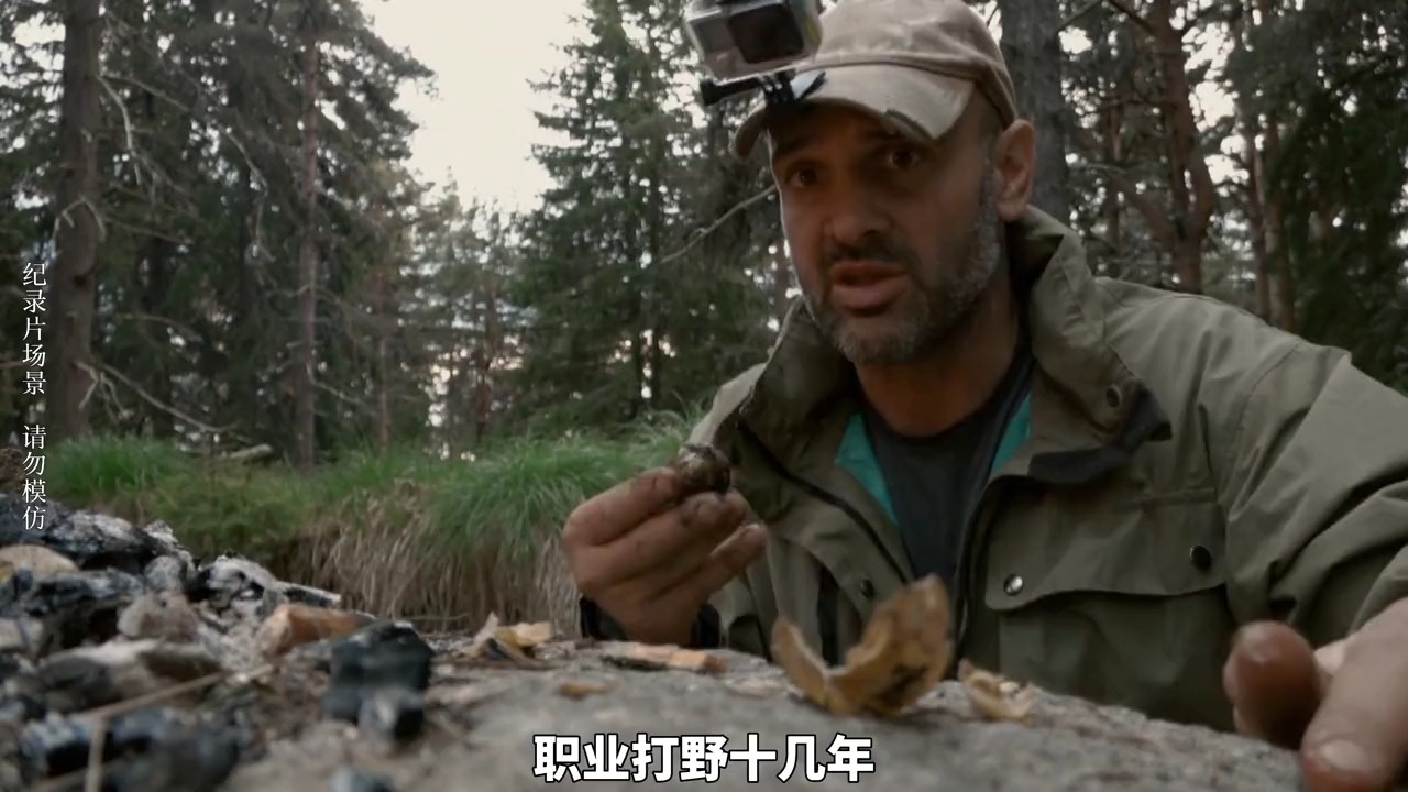 德爷罗多彼山脉荒野求生,吃的是碳烤蜗牛,鲜美河鳟,鸡油菌菇,还有美味