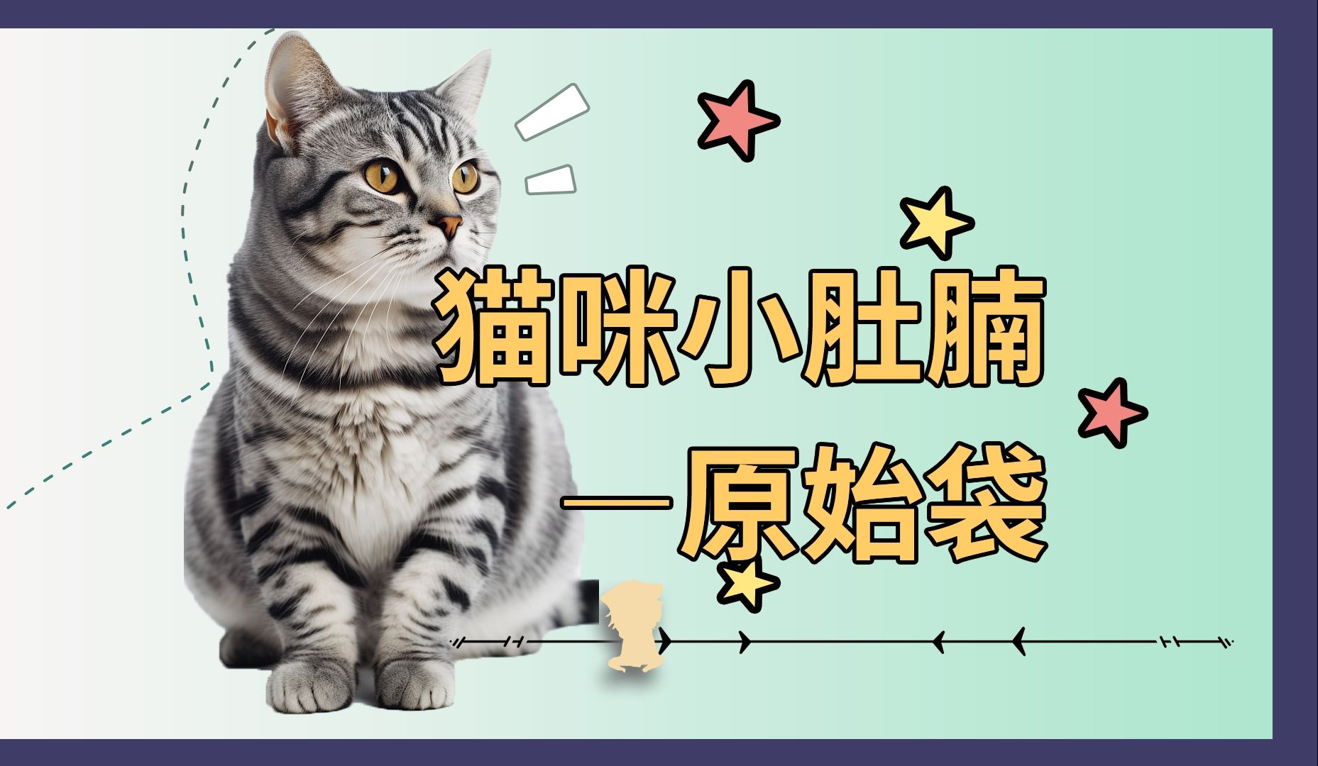 为什么瘦猫也有大肚腩?那是原始袋!哔哩哔哩bilibili