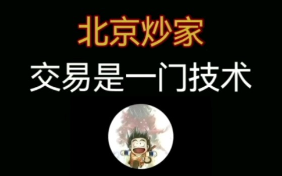 北京炒家:交易是一门艺术哔哩哔哩bilibili