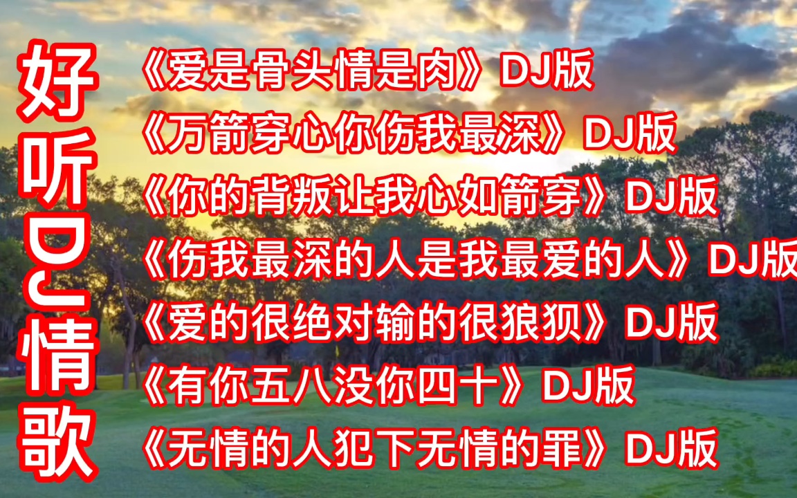 [图]好听DJ情歌《爱是骨头情是肉》《万箭穿心你伤我最深》