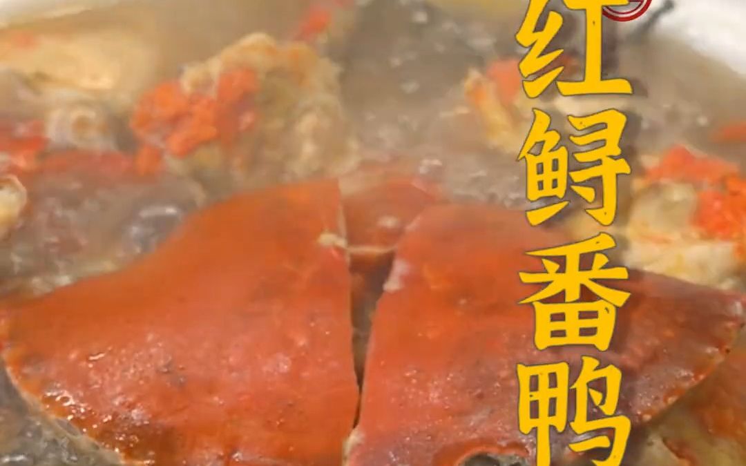 金鲟的功效(金鲟功效大揭秘:滋补养生,美容养颜,抗衰老)