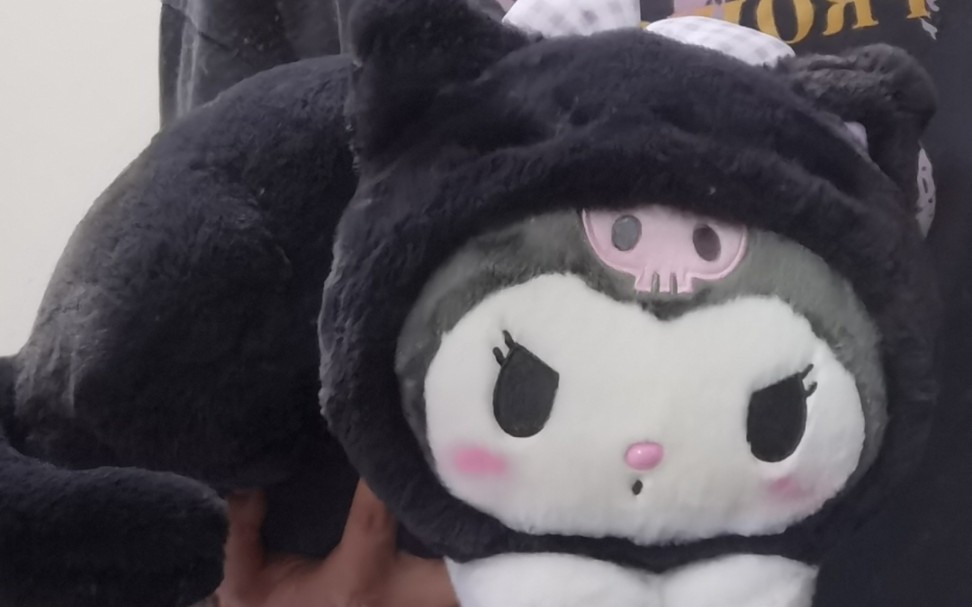 【开箱】一只库洛猫