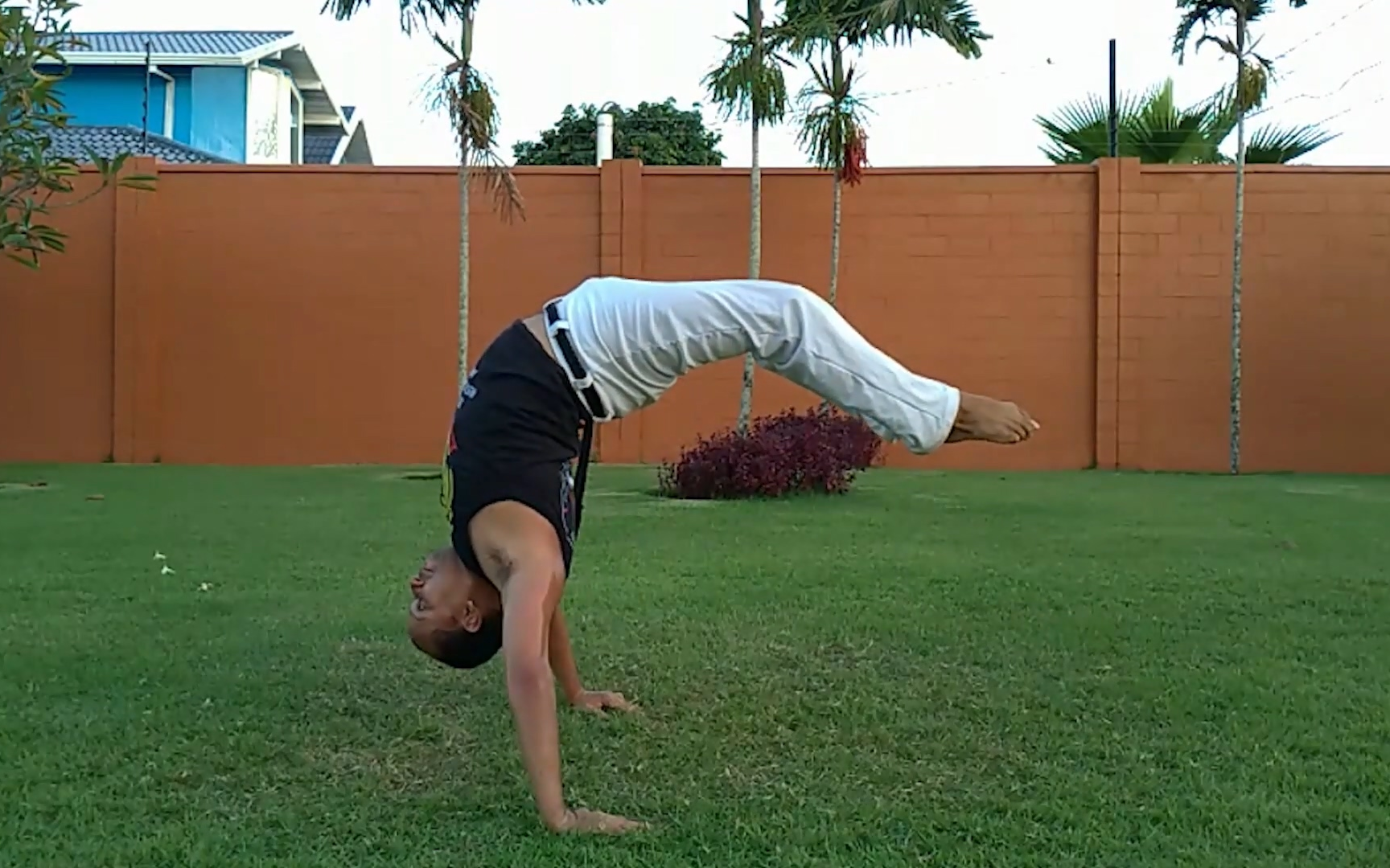 巴西战舞Capoeira 29个 “桥(Ponte)” 动作的变化式【评论区有动作列表】哔哩哔哩bilibili