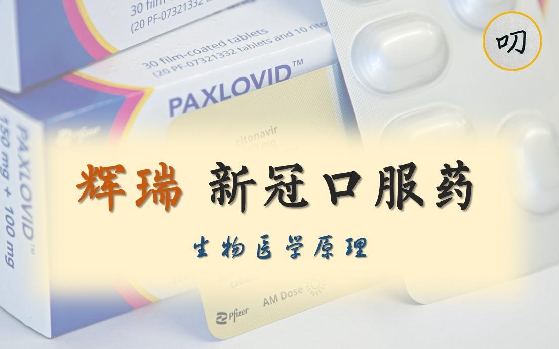 新冠特效药是否名副其实?5分钟详解辉瑞口服药Paxlovid哔哩哔哩bilibili