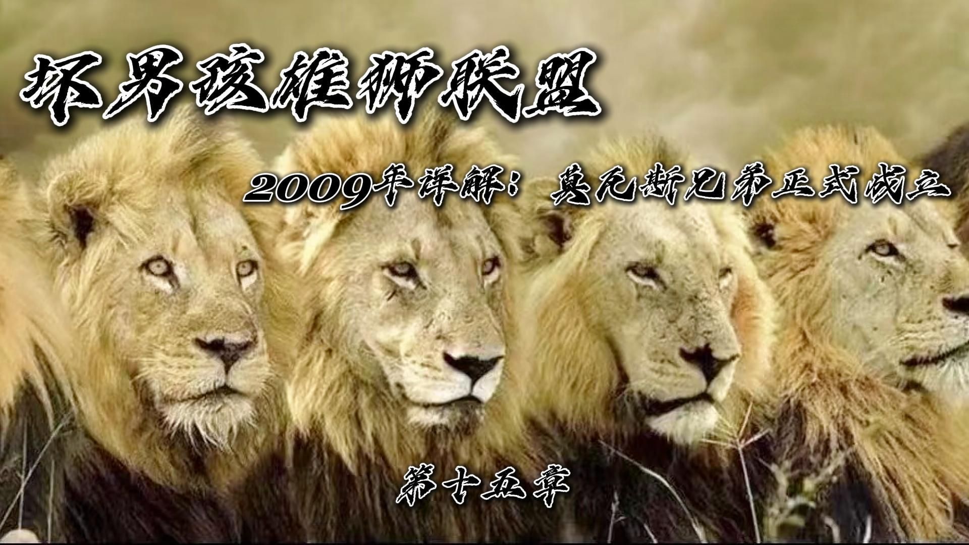 15.坏男孩雄狮联盟2009年详解:联盟被真正判定分裂,莫瓦斯兄弟正式成立哔哩哔哩bilibili