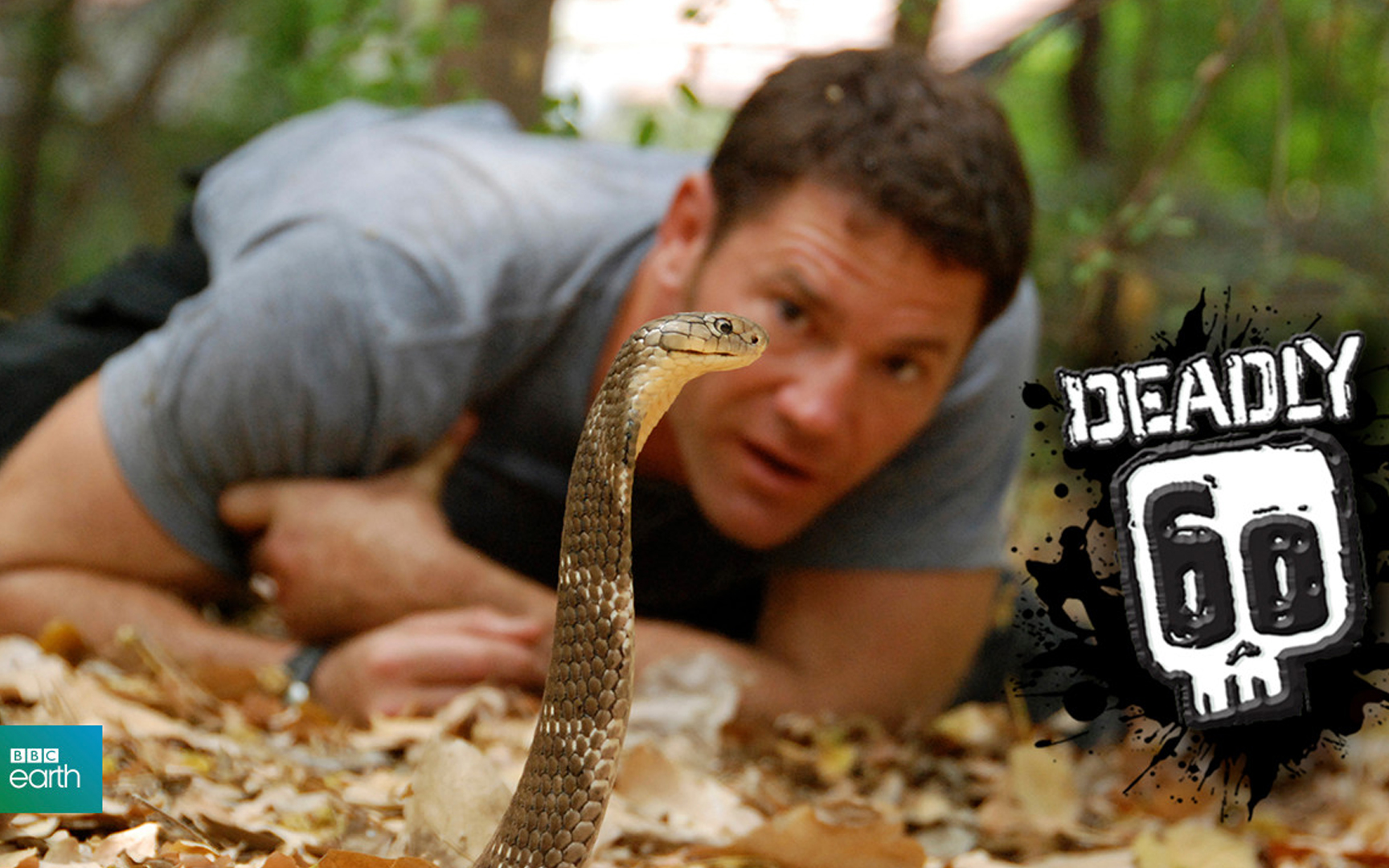 60种致命动物 第三季