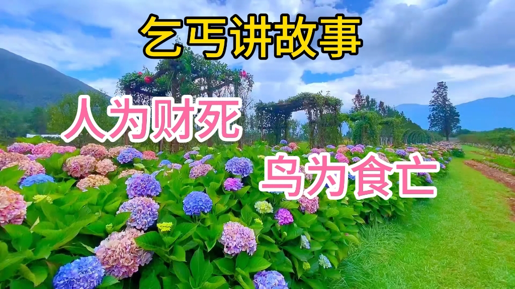 乞丐讲故事!人为财死!鸟为食亡!